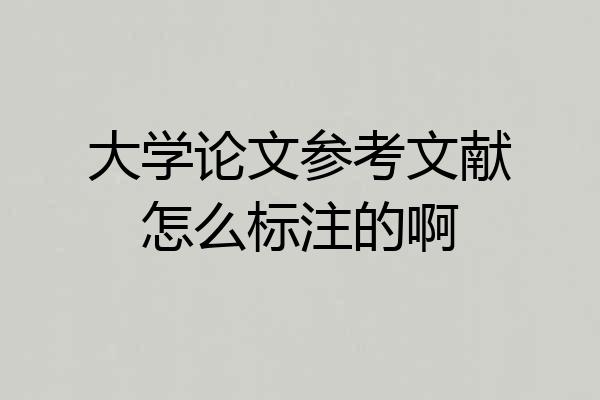 大学论文参考文献怎么标注的啊