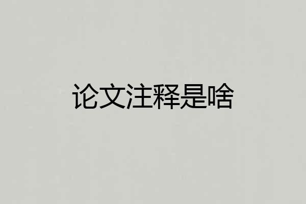论文注释是啥