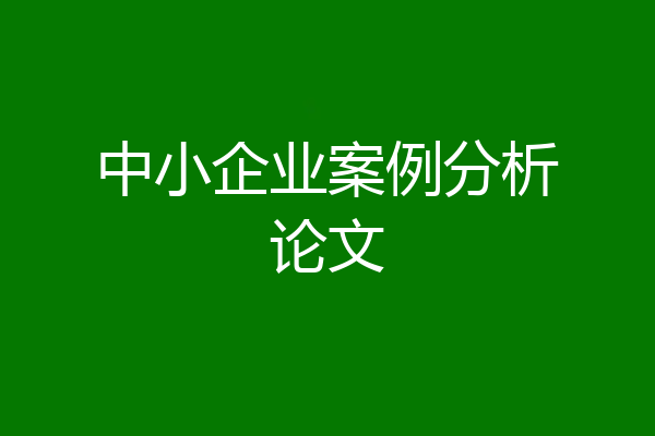 中小企业案例分析论文