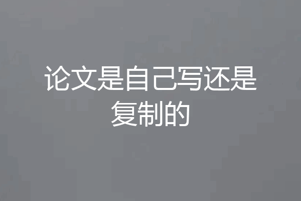 论文是自己写还是复制的