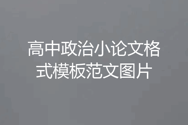 高中政治小论文格式模板范文图片