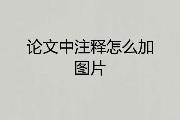 论文中注释怎么加图片