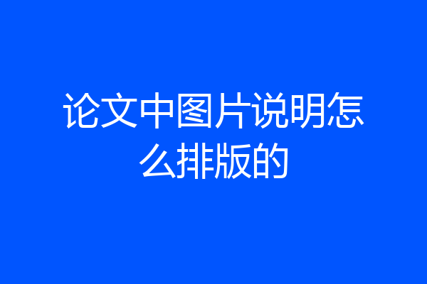 论文中图片说明怎么排版的