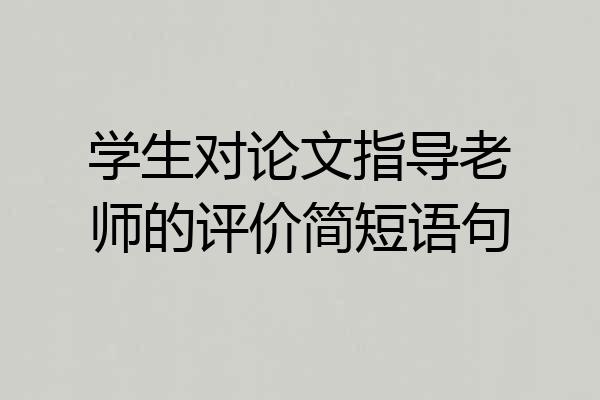 学生对论文指导老师的评价简短语句