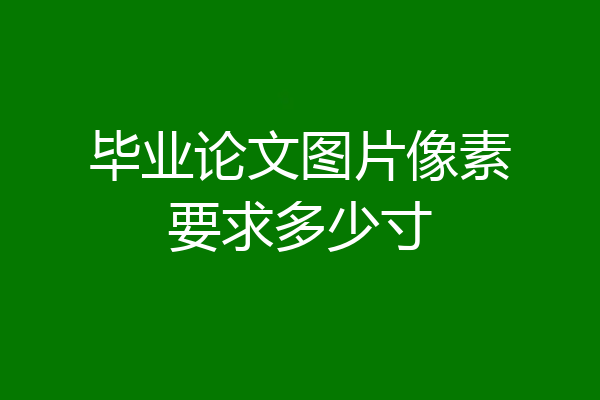 毕业论文图片像素要求多少寸