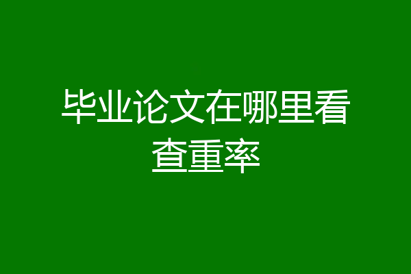 毕业论文在哪里看查重率