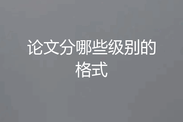 论文分哪些级别的格式