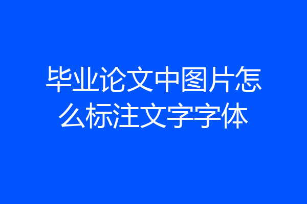 毕业论文中图片怎么标注文字字体