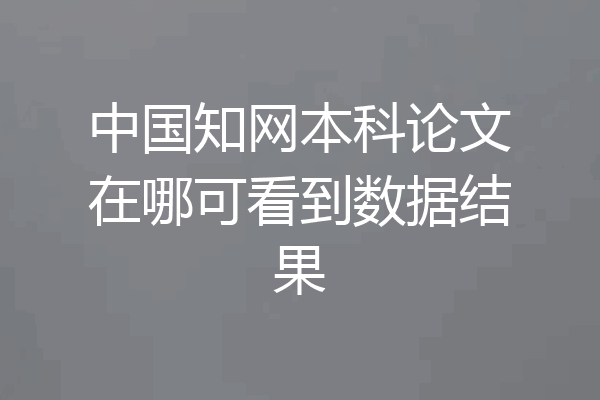 中国知网本科论文在哪可看到数据结果