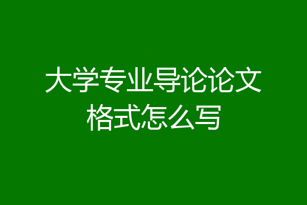 大学专业导论论文格式怎么写