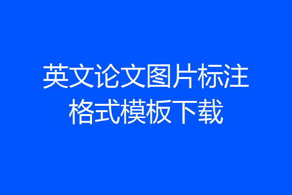 英文论文图片标注格式模板下载