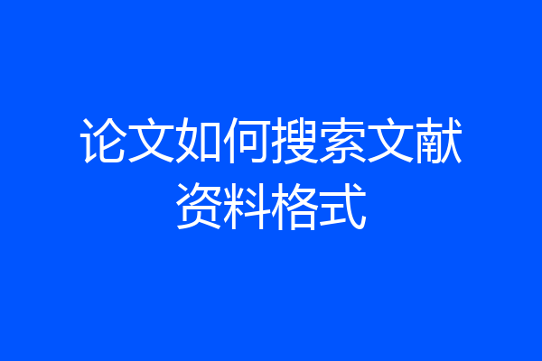 论文如何搜索文献资料格式