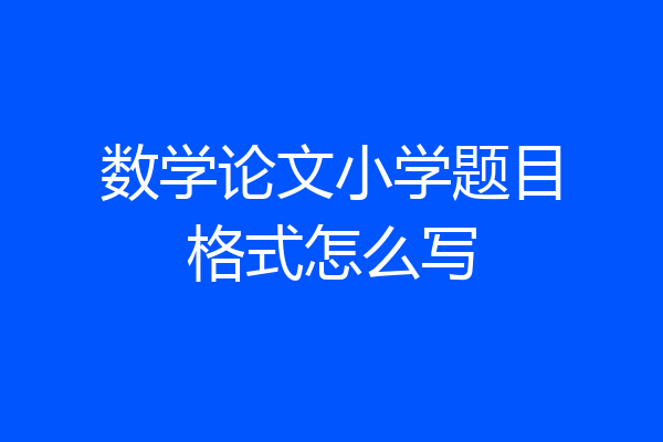 数学论文小学题目格式怎么写