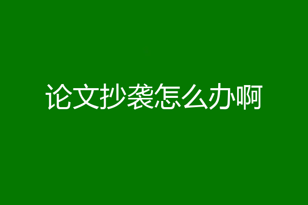 论文抄袭怎么办啊