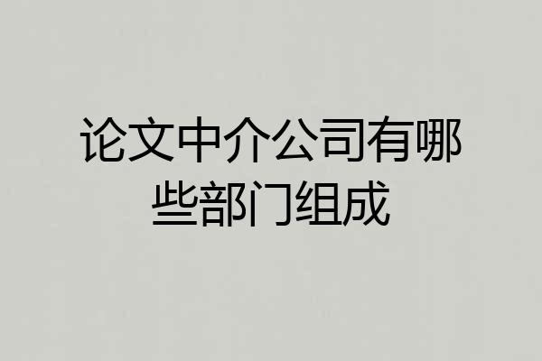 论文中介公司有哪些部门组成