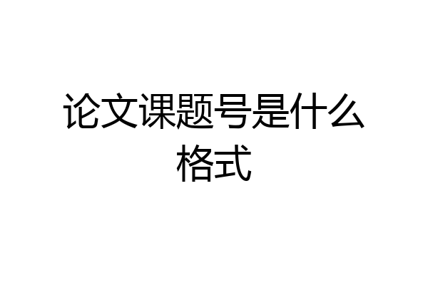 论文课题号是什么格式