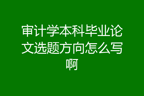 审计学本科毕业论文选题方向怎么写啊