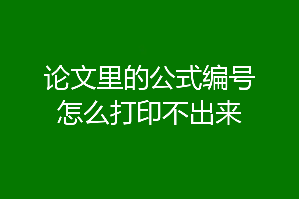 论文里的公式编号怎么打印不出来