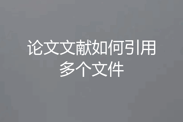论文文献如何引用多个文件
