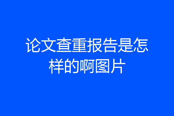 论文查重报告是怎样的啊图片