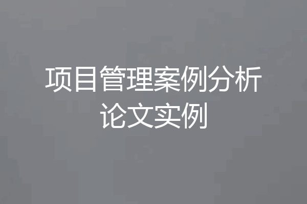 项目管理案例分析论文实例