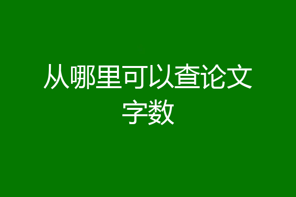 从哪里可以查论文字数