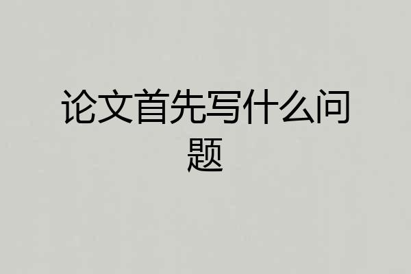 论文首先写什么问题