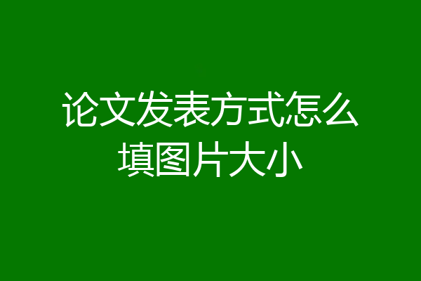 论文发表方式怎么填图片大小