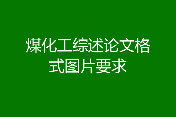 煤化工综述论文格式图片要求