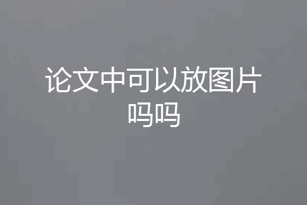 论文中可以放图片吗吗