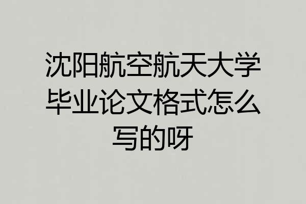 沈阳航空航天大学毕业论文格式怎么写的呀