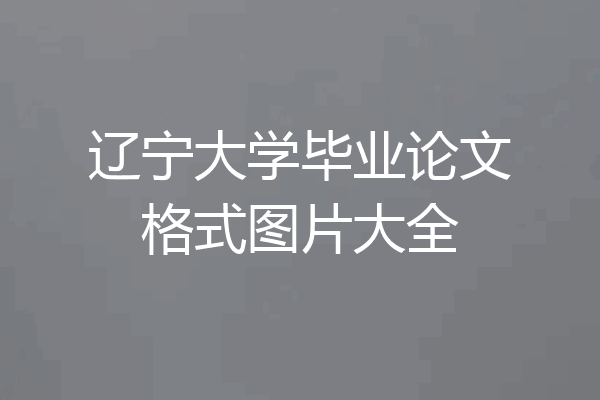 辽宁大学毕业论文格式图片大全