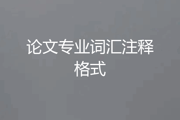 论文专业词汇注释格式