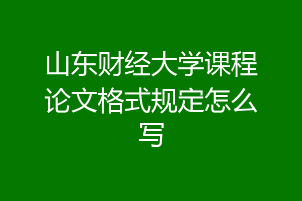 山东财经大学课程论文格式规定怎么写