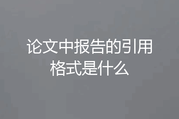 论文中报告的引用格式是什么