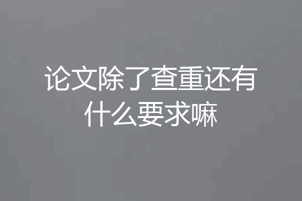 论文除了查重还有什么要求嘛