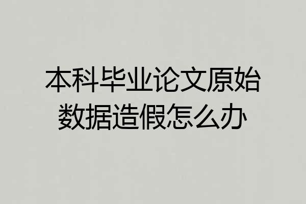 本科毕业论文原始数据造假怎么办