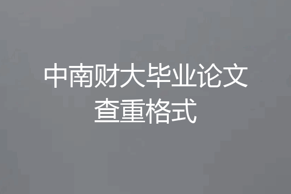 中南财大毕业论文查重格式