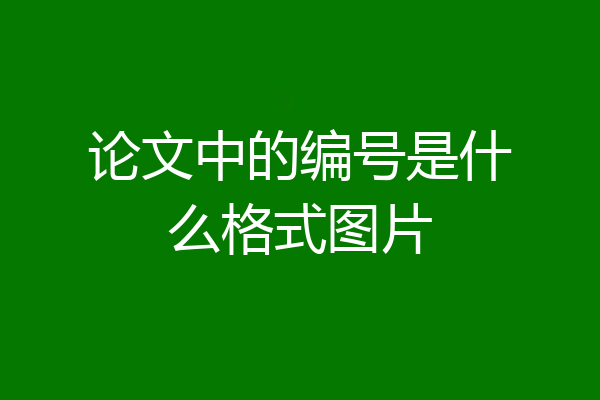论文中的编号是什么格式图片
