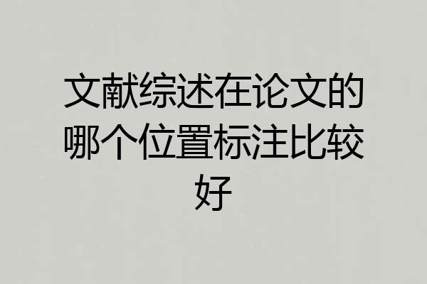 文献综述在论文的哪个位置标注比较好