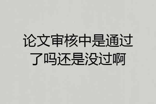 论文审核中是通过了吗还是没过啊