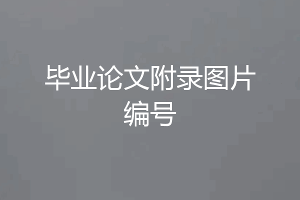 毕业论文附录图片编号
