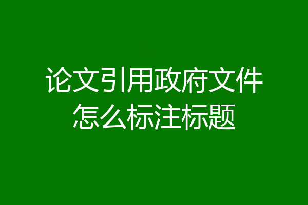 论文引用政府文件怎么标注标题