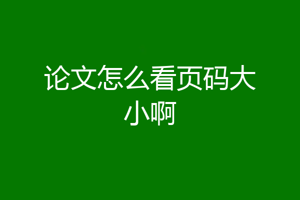 论文怎么看页码大小啊