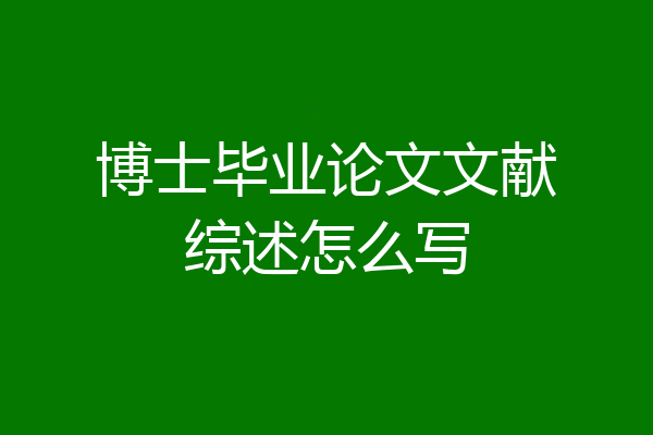 博士毕业论文文献综述怎么写