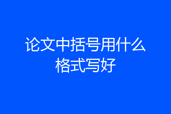 论文中括号用什么格式写好