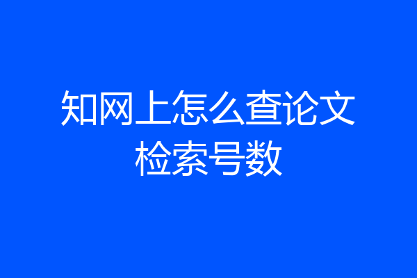 知网上怎么查论文检索号数