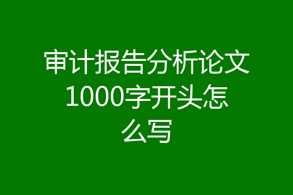 审计报告分析论文1000字开头怎么写