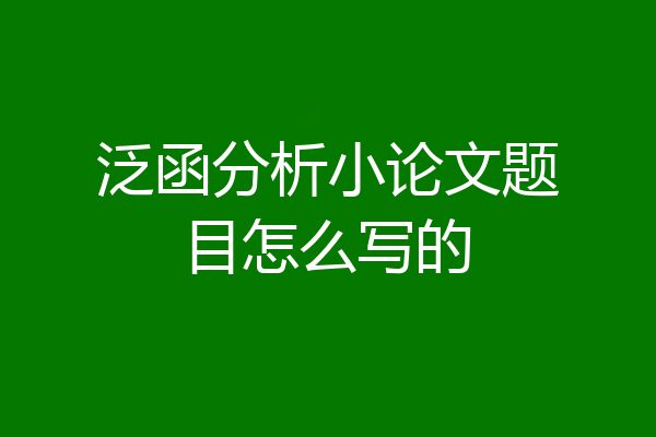 泛函分析小论文题目怎么写的