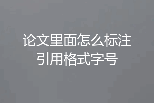 论文里面怎么标注引用格式字号